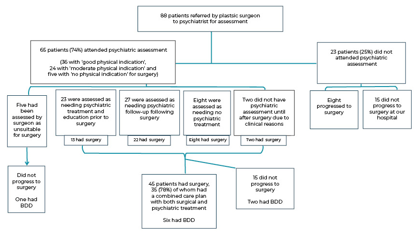 Surgeon-driven preoperative psychiatric evaluation of plastic surgery  patients